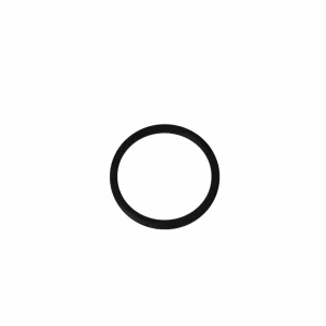 O-ring sm. con sello de goma para portamembrana PK-PM40E300. Modelo: R-PK908